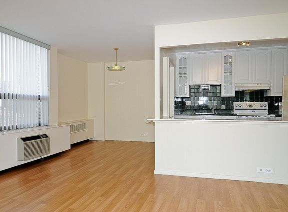 4th image of 1255 N Sandburg Ter #812E