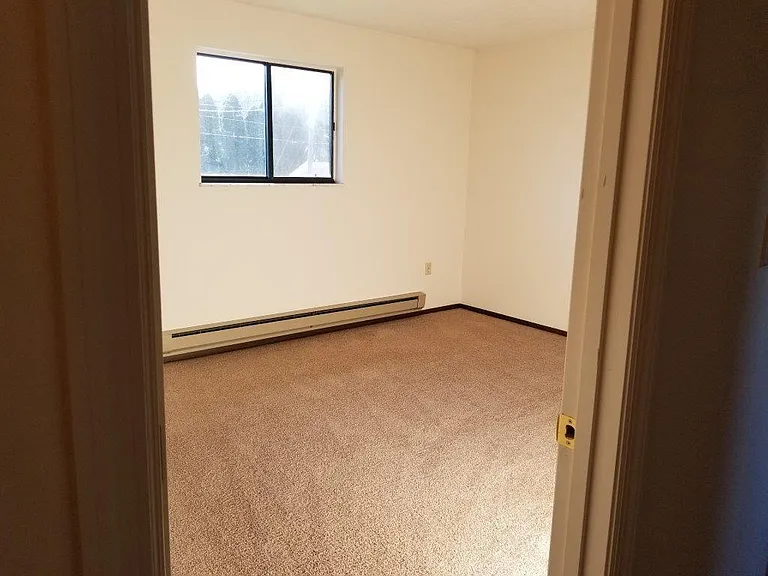 109 Big Tree Dr — Photo 5