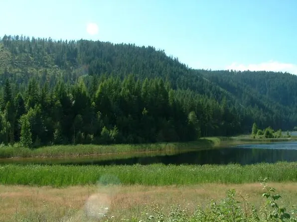 49XX Sheep Creek Rd, Northport, WA 99157