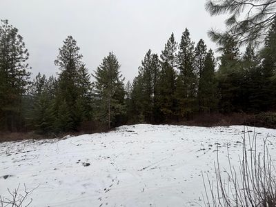 4XX Buffy Ln, Inchelium, WA, 99138