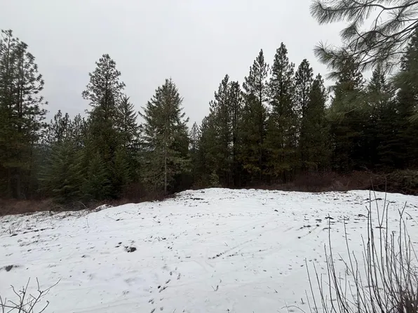 4XX Buffy Ln, Inchelium, WA 99138