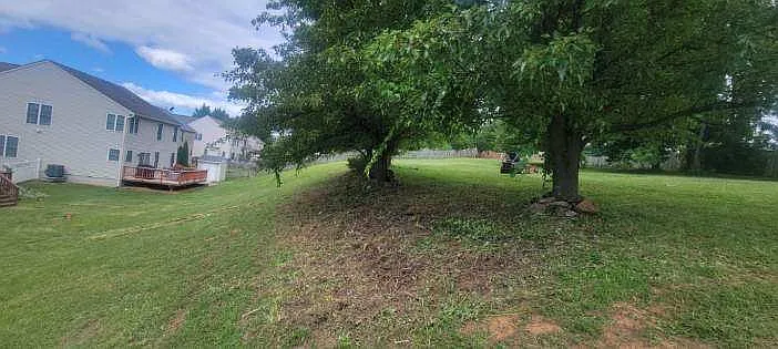 516 Lighthouse Rd — Photo 14