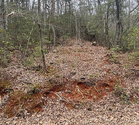 5th image of 615 Woodland Trce