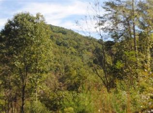 390 Abbott Rd #2, Canton, NC 28716