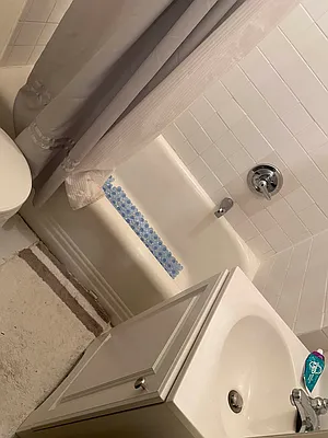 Rented by null | media 16