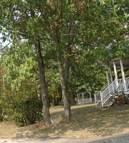 2nd image of 177 Province Line Rd