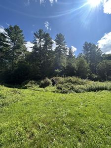 540 Lost Bottom Run Rd, Marlinton, WV, 24954