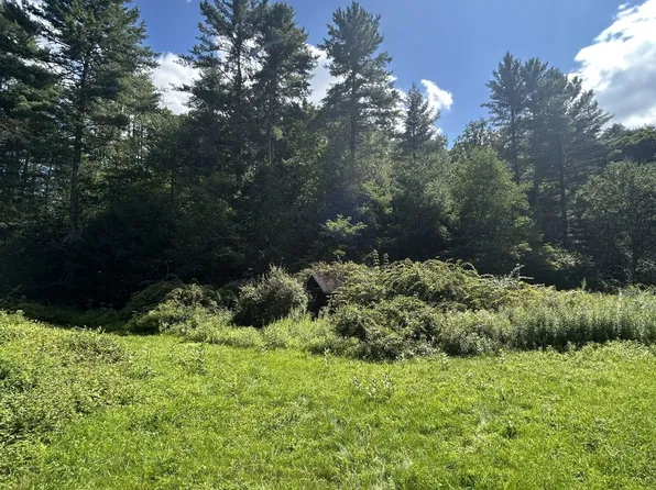 540 Lost Bottom Run Rd, Marlinton, WV 24954