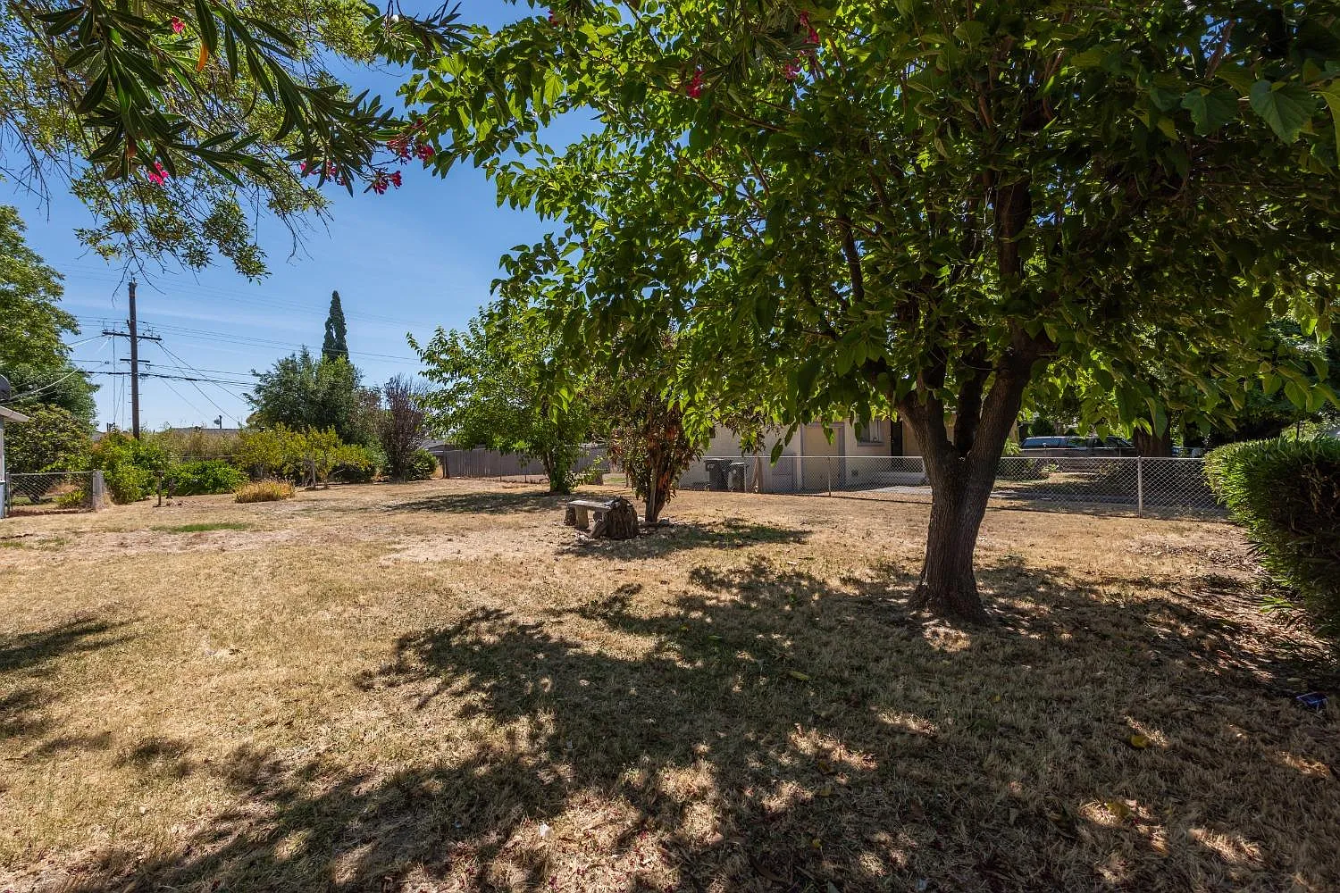 3920 Fig St photo 1
