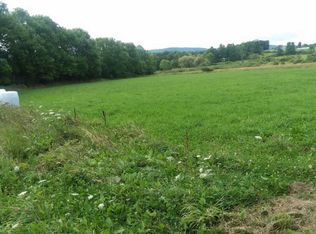 701 Gardner Rd, Burlington Flats, NY 13315