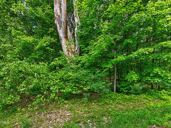 4th image of L1 27.11 Ruggles Road