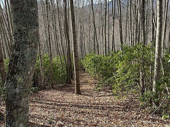3rd image of 239 Down The Hill Rd
