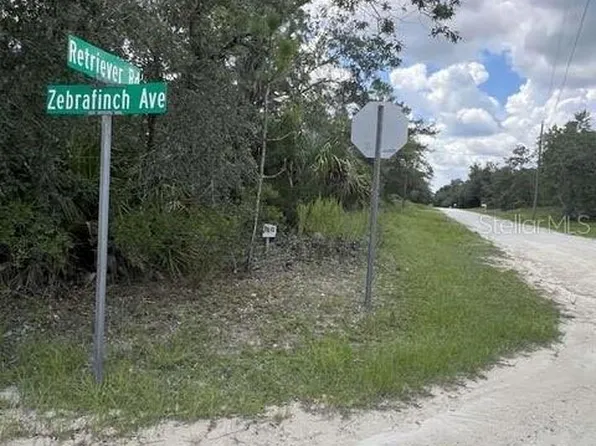 0 Zebrafinch Ave Lot 1, Brooksville, FL 34614