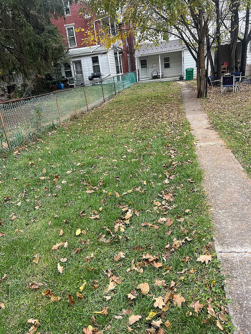 2 bed, 800 sqft, $1,300 — Photo 3