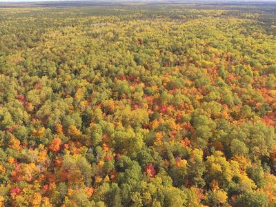 0 McCormick Rd, Cheboygan, MI, 49721