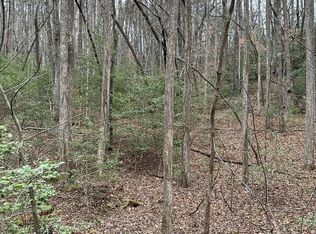 36 Jesses Run, Ellijay, GA 30536