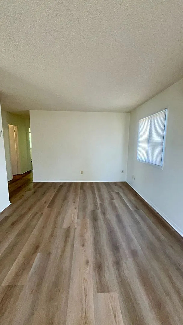 SH216 — Photo 4