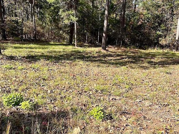 4th image of 16271 County Road 436