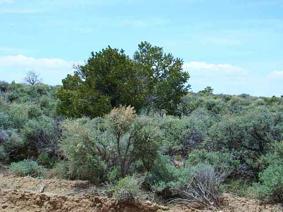 5th image of 45 Cedar Lnae