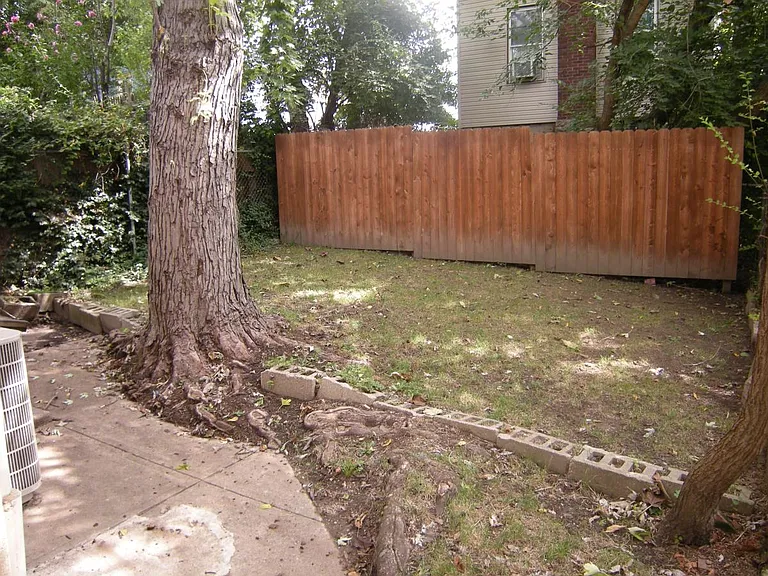 Rear Yard