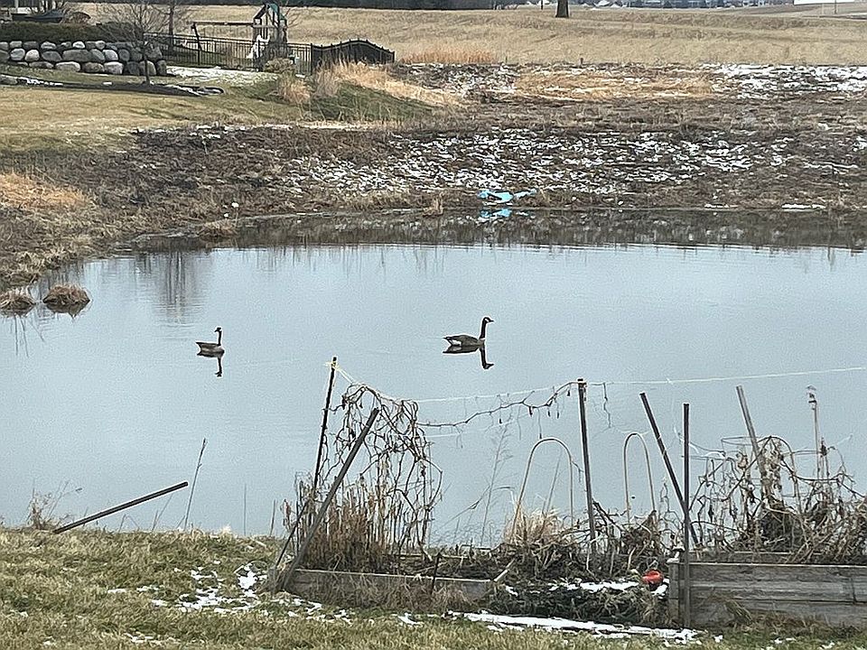 2nd image of 307 Fargo Trl