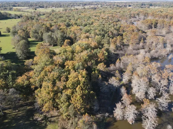 Lee Burns Camp Rd Lot Wp001, Fort Necessity, LA 71243