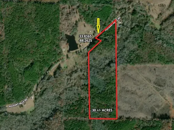 Pleasant Hills Rd, Gattman, MS 38844