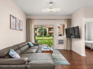 1400 E Valley Rd Unit 115, Basalt, CO 81621
