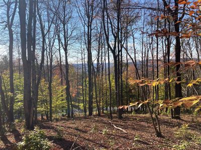 TBD White Roe Lake Road, Livingston Manor, NY, 12758