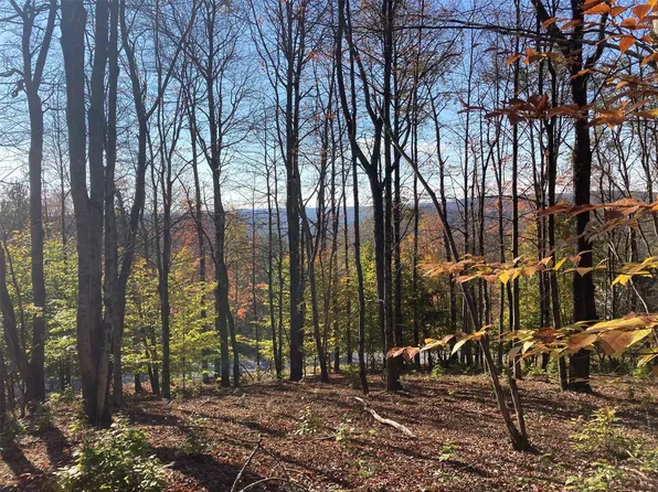 TBD White Roe Lake Road, Livingston Manor, NY 12758