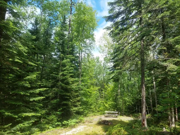 Lot 34 Stephens Road/Moose Road, Rangeley Plt, ME 04970