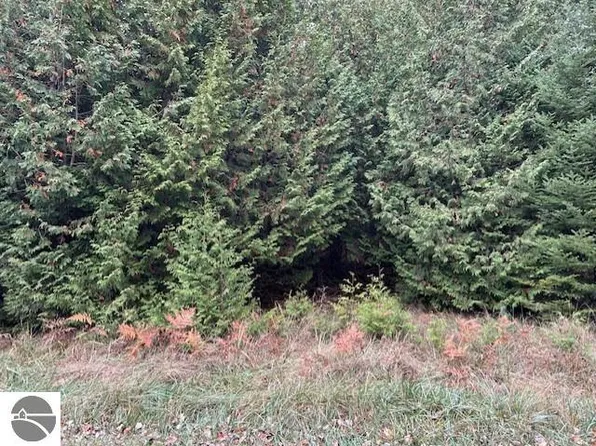 LOT 729 Christopher Dr, Oscoda, MI 48750