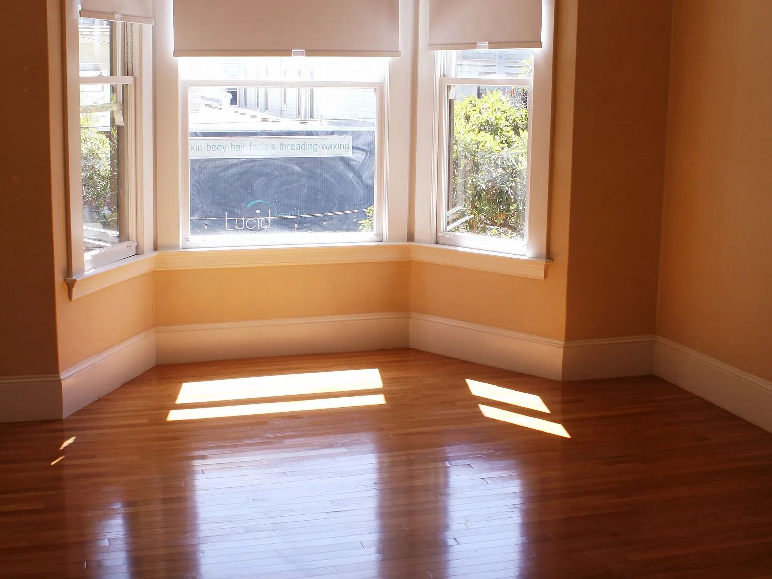 1 bed, 550 sqft, $3,500 — Photo 4