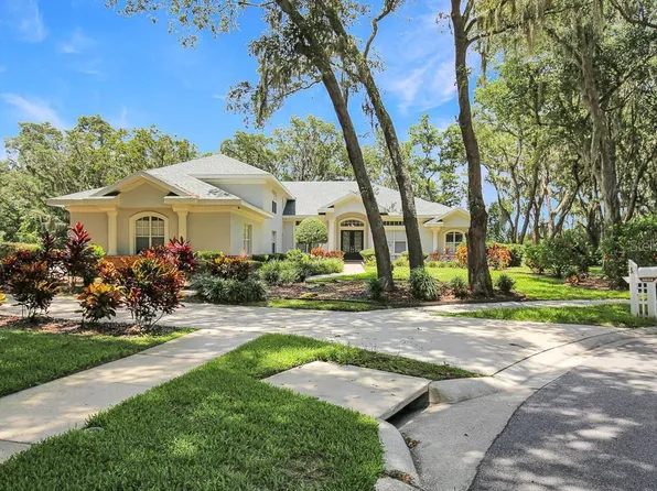 6034 HAMMOCK HILL AVENUE, LITHIA, FL 33547