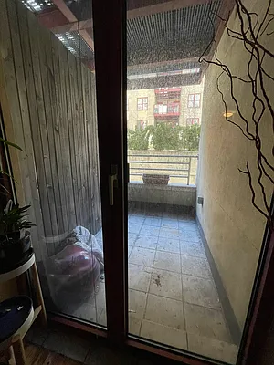 Rented by The Downtown LLC | media 91