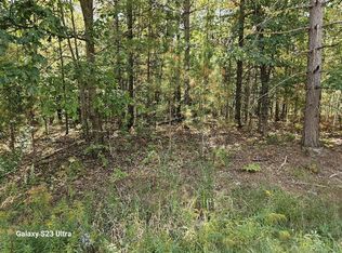 Vl Old M 30 & Rivers Rd, Gladwin, MI 48624