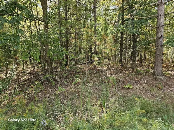 Vl Old M 30 & Rivers Rd, Gladwin, MI 48624