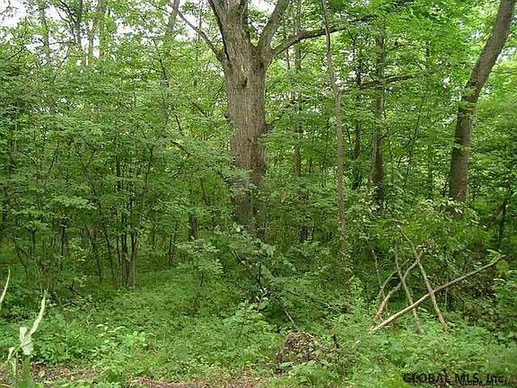 3rd image of 179 Farm Way