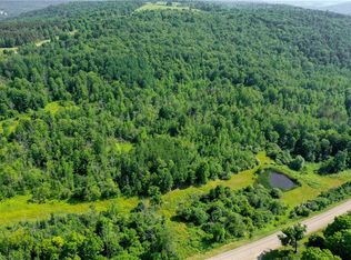 8023 Peacock Rd #15, Bath, NY 14810