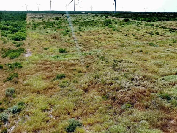 TRACT 9 43.1 San Pablo Ave, Bruni, TX 78344