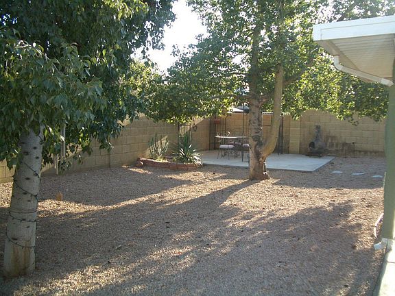 Large back yard