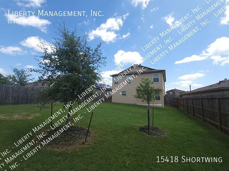 15418 Shortwing — Photo 28