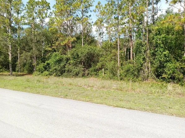 6431 Norman St Lot 4, Webster, FL 33597