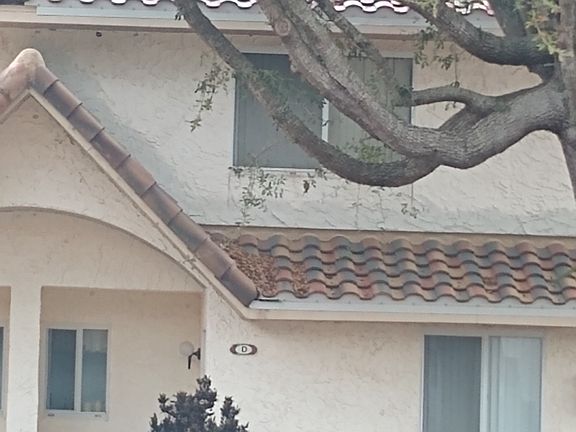 2nd image of 3524 Forest Branch Dr APT D