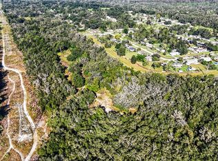 13055 MORRIS BRIDGE ROAD LOT 960500, THONOTOSASSA, FL 33592