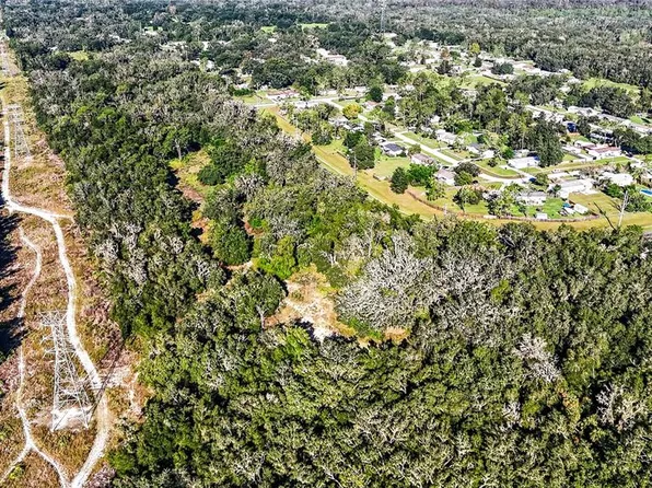 13055 MORRIS BRIDGE ROAD LOT 960500, THONOTOSASSA, FL 33592