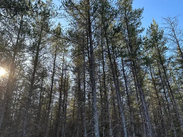 Lower Kaubashine Rd #4094-6, Hazelhurst, WI 54531