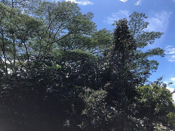 3rd image of Paradise Dr