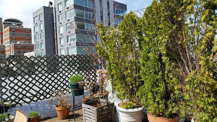 Rented by Chartwell Manhattan Realty | media 14