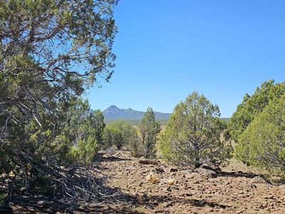LOT 578 Elvis Presley Blvd, Williams, AZ, 86046